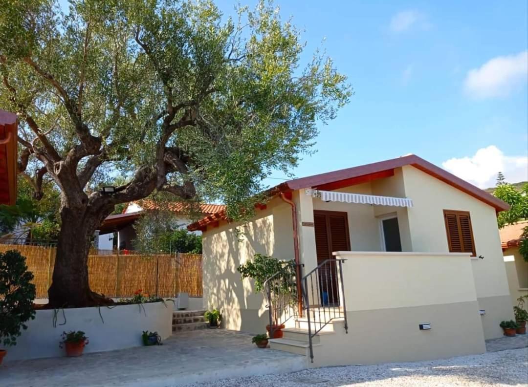 Case Vacanze La Quercia Marina di Camerota Esterno foto
