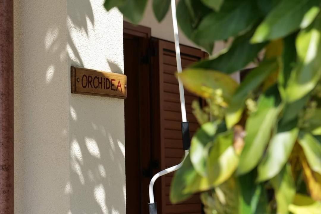 Case Vacanze La Quercia Marina di Camerota Esterno foto